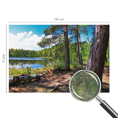 Fototapeta za dnevno sobo z motivom gozdne pokrajine