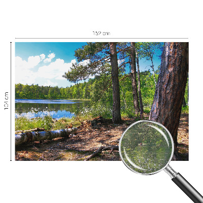 Fototapeta za dnevno sobo z motivom gozdne pokrajine