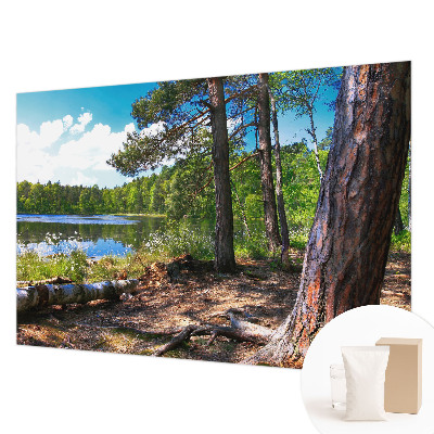 Fototapeta za dnevno sobo Gozdna pokrajina