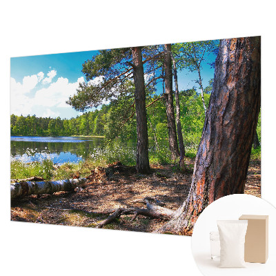 Fototapeta za dnevno sobo Gozdna pokrajina