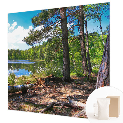 Fototapeta za dnevno sobo Gozdna pokrajina