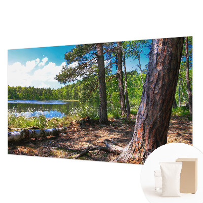 Fototapeta za dnevno sobo Gozdna pokrajina