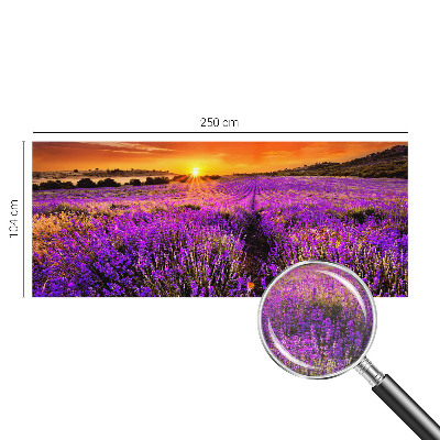 Visokokakovostna fototapeta s motivom sončnega zahoda sivke