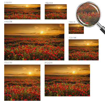 Flis fototapeta za otroško sobo z motivom makovega polja