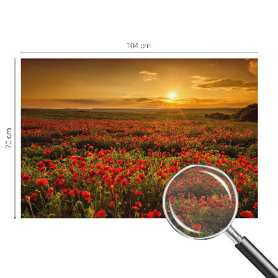 Flis fototapeta za otroško sobo Makovo polje