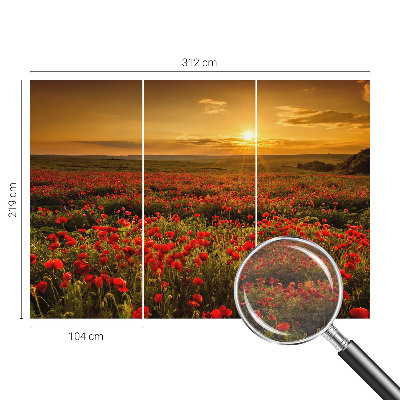 Flis fototapeta za otroško sobo z motivom makovega polja