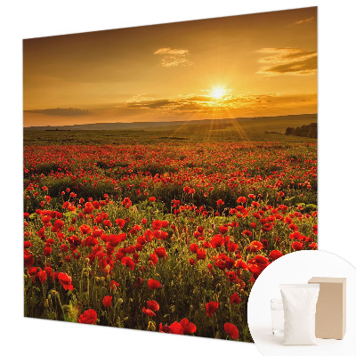 Flis fototapeta za otroško sobo Makovo polje