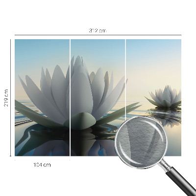 Stenska dekoracija fototapeta Lokvanji