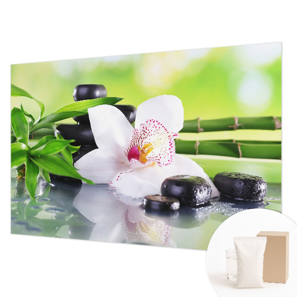 Fototapeta Mir narave