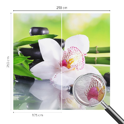 Fototapeta Mir narave