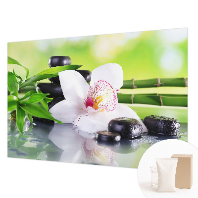 Fototapeta Mir narave