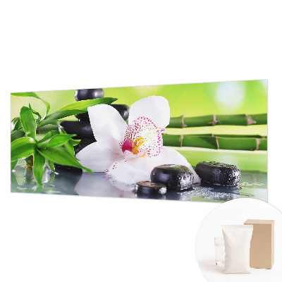 Fototapeta Mir narave