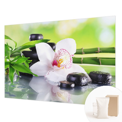 Fototapeta Mir narave