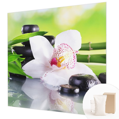 Fototapeta Mir narave