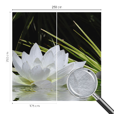 Stenska fototapeta flis z motivom meditacije z lilijami
