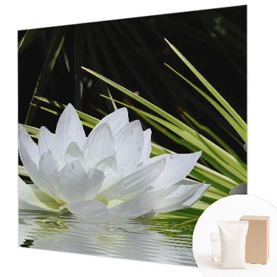 Stenska fototapeta flis z motivom meditacije z lilijami