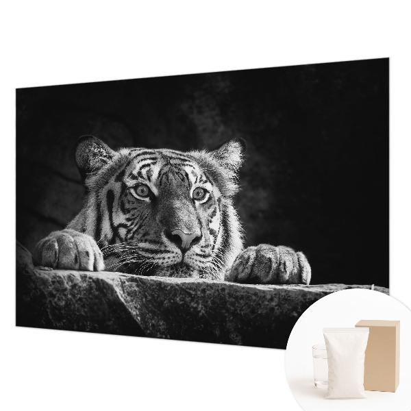 Visokokakovostna fototapeta Plenilski pogled