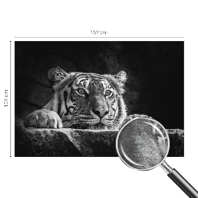 Visokokakovostna fototapeta z motivom plenilskega pogleda