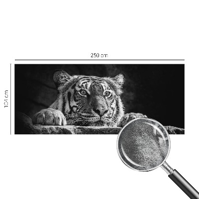 Visokokakovostna fototapeta z motivom plenilskega pogleda