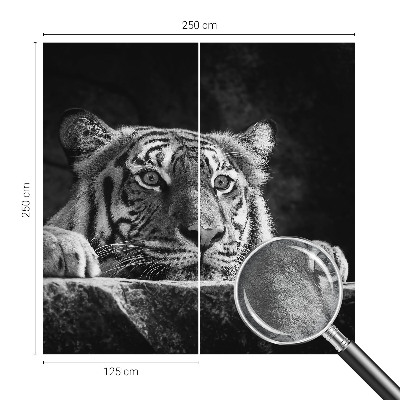Visokokakovostna fototapeta z motivom plenilskega pogleda