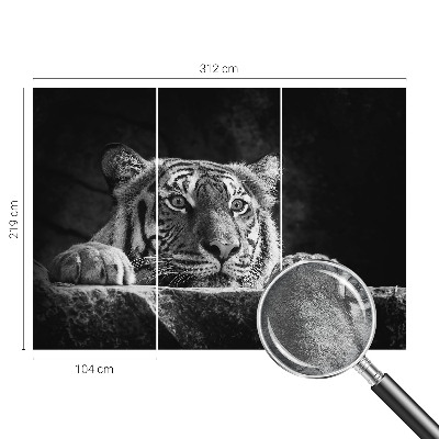 Visokokakovostna fototapeta z motivom plenilskega pogleda
