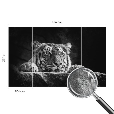 Visokokakovostna fototapeta z motivom plenilskega pogleda