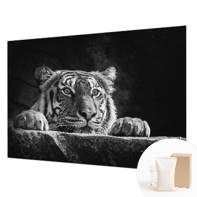 Visokokakovostna fototapeta Plenilski pogled