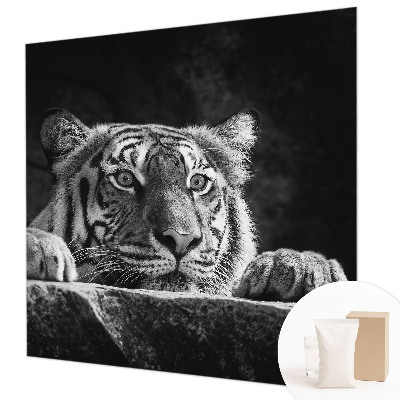 Visokokakovostna fototapeta Plenilski pogled