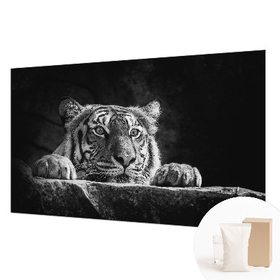 Visokokakovostna fototapeta Plenilski pogled