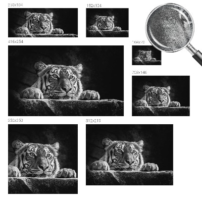 Visokokakovostna fototapeta z motivom plenilskega pogleda