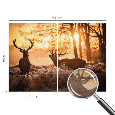 Fototapeta s tiskom Jelen zjutraj