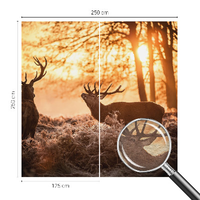 Fototapeta s tiskom Jelen zjutraj