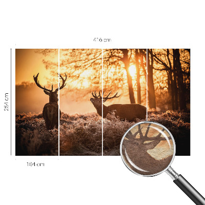 Fototapeta s tiskom Jelen zjutraj