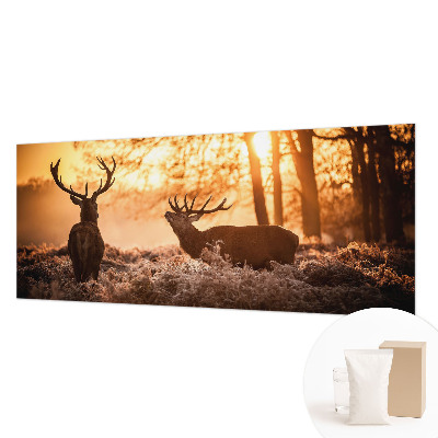 Fototapeta s tiskom Jelen zjutraj