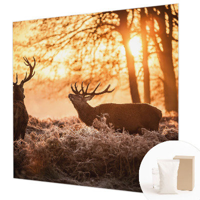 Fototapeta s tiskom Jelen zjutraj