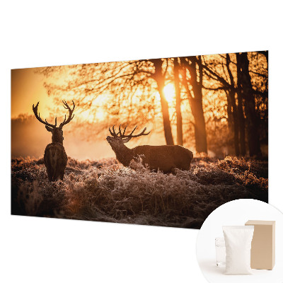 Fototapeta s tiskom Jelen zjutraj