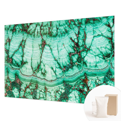 Dekorativna fototapeta Zeleni vzorci