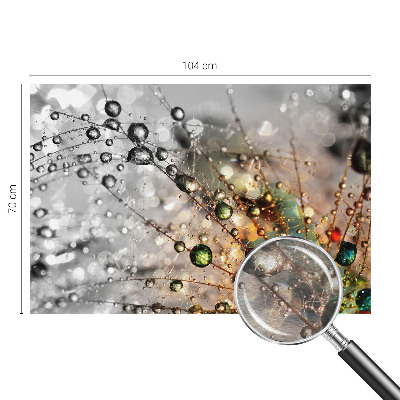 Fototapeta po meri Rosim dragulje