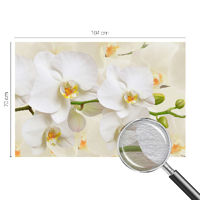 Fototapeta za dnevno sobo Cvetlično bogastvo