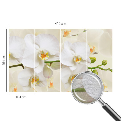 Fototapeta za dnevno sobo Cvetlično bogastvo