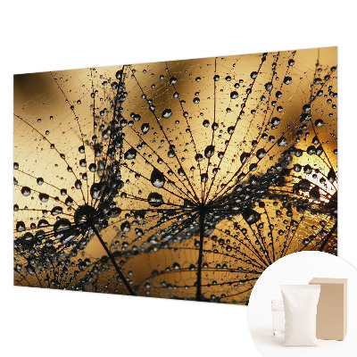 Fototapeta za spalnico Nežne kapljice