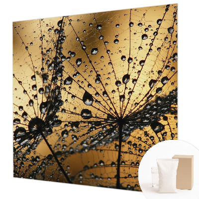 Fototapeta za spalnico Nežne kapljice