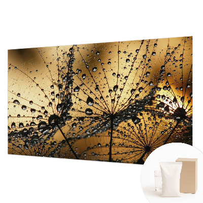 Fototapeta za spalnico Nežne kapljice