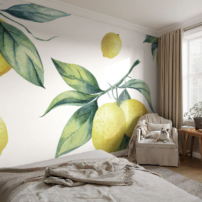 Stenska dekoracija fototapeta z motivom limone