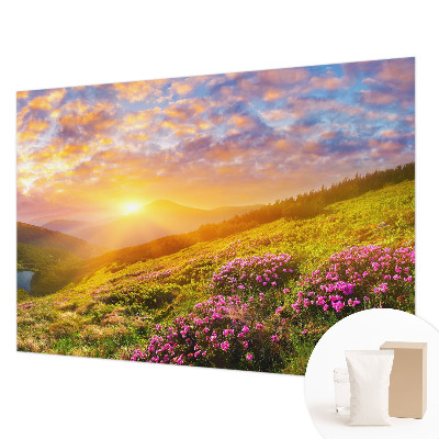 Fototapeta s tiskom z motivom gorskega zahoda