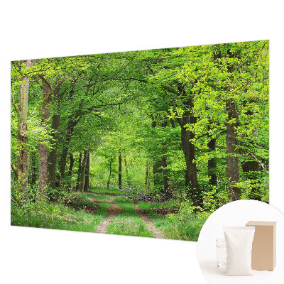 Fototapeta z motivom gozdne poti