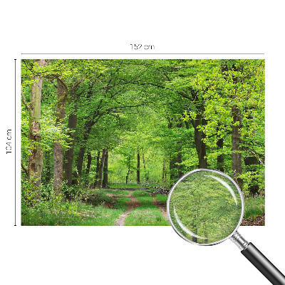 Fototapeta z motivom gozdne poti