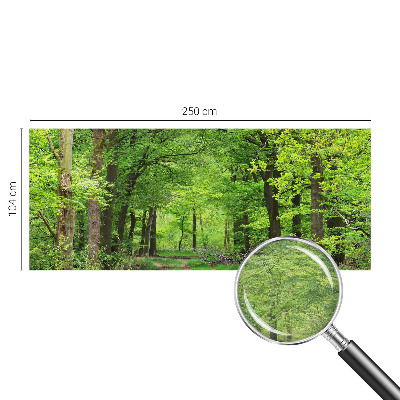 Fototapeta z motivom gozdne poti