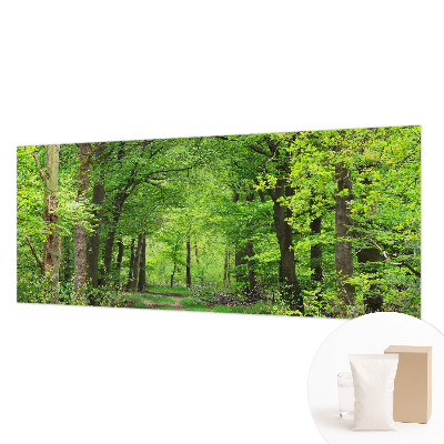 Fototapeta z motivom gozdne poti