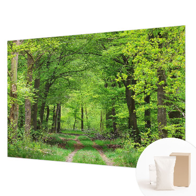 Fototapeta z motivom gozdne poti
